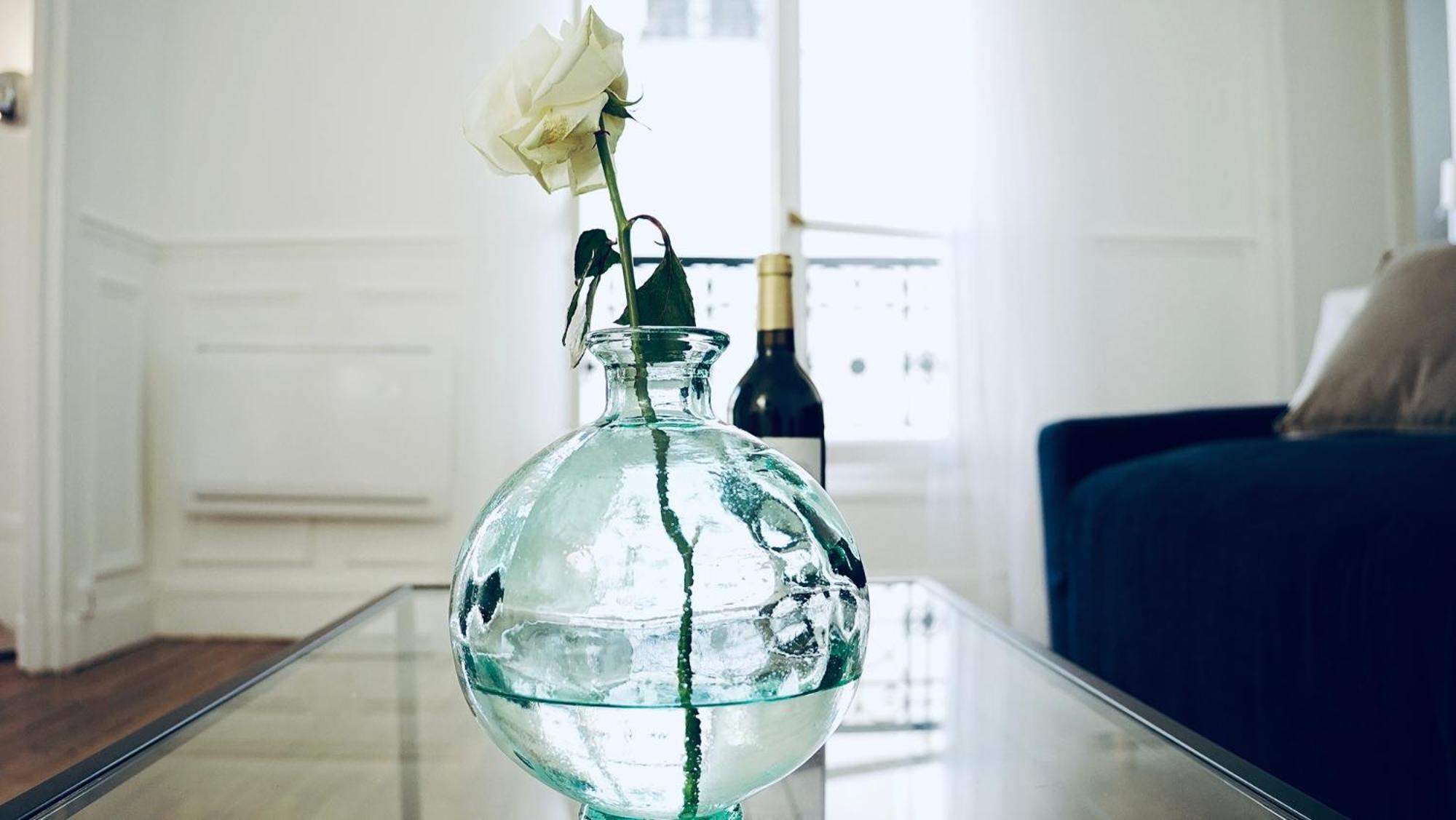 Appartement Magnifique Tour Eiffel / Rue Cler
